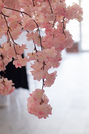 ELISECALDWELLPHOTOGRAPHY